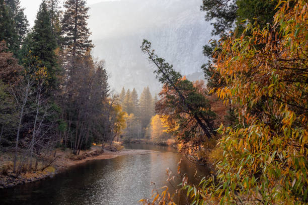 istock Yosemite National Park 1133027971