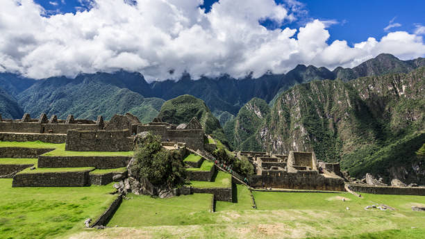 istock Green terraces in the green mountains 1133031509