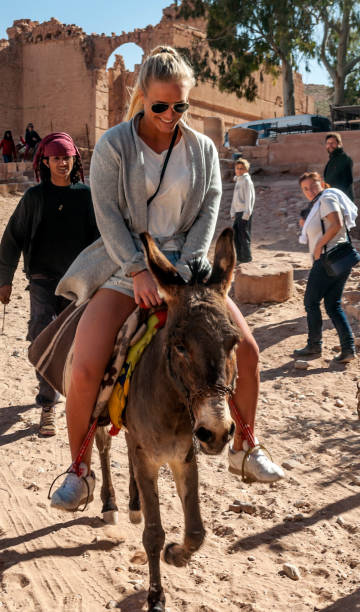 Riding a donkey PETRA, JORDAN-FEBRUARY 2015. TPeople visiting the ancient stone city of Petra in Jordan in a sunny day. Describe the tour around the ancient city and them activity donkey animal themes desert landscape stock pictures, royalty-free photos & images