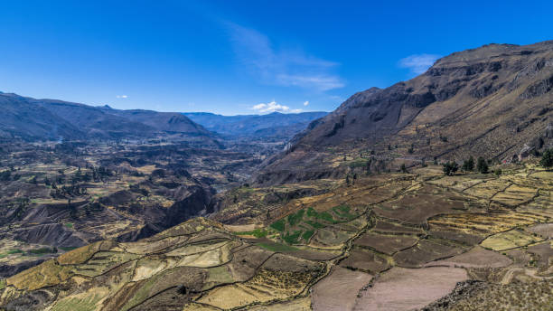 campos agriculturais nos andes - block the americas mountain peak plateau - fotografias e filmes do acervo