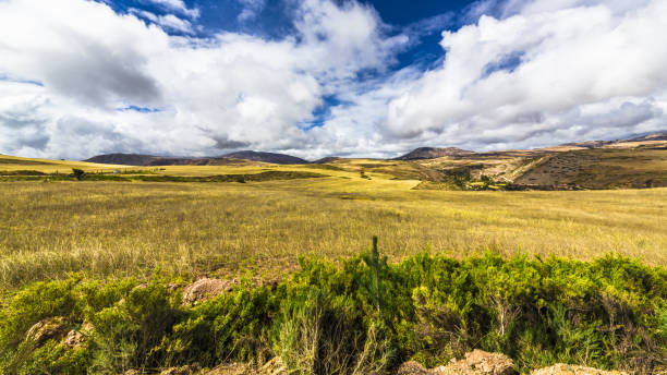 istock Wheat field in the highlands 1133034316
