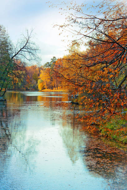 istock Golden autumn, Tsaritsyno park 1133034367