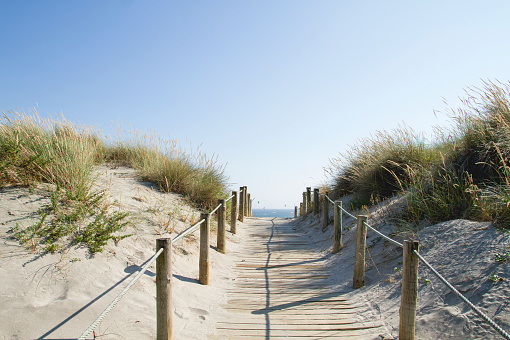 Wooden gangway in the dunes by the sea