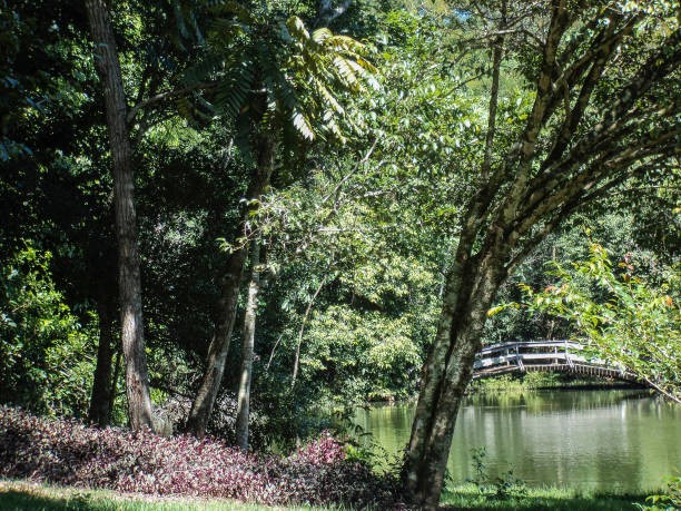 istock Bridge over lake in park with flowers and trees. 1133035621