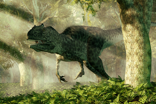 An allosaurus stalks a dense Jurassic era forest.  The dinosaur turns to look at you and bears its teeth as it comes around a tree. 3D Rendering