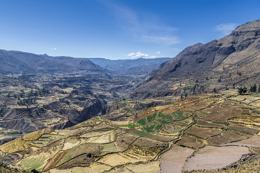 Agricultural terraces on the slopes of the Peruvian Andes in the gorge of the river Urubamba.