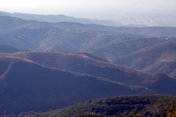 Ida Mountain-Kaz Daglari in Turkey. (in Turkish: Kazdagi, meaning Goose Mountain), Turkey. Beautiful nature..Ida Mountain has endemic plants and trees .