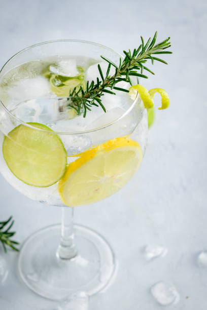 istock Alcohol drink, gin tonic cocktail, with lemon, lime, rosemary and ice on light background, copy space. Iced drink. 1133038592