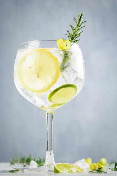 istock Alcohol drink, gin tonic cocktail, with lemon, lime, rosemary and ice on light background, copy space. Iced drink. 1133038594