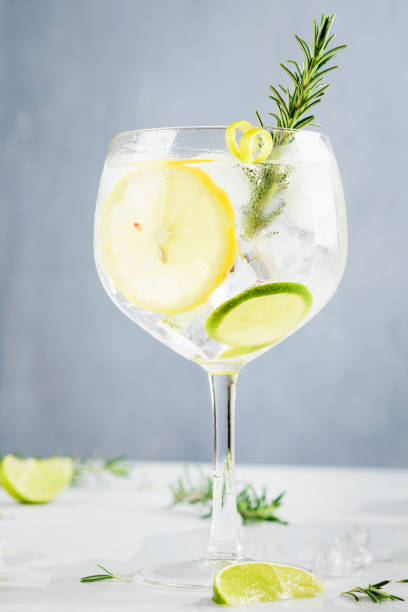 istock Alcohol drink, gin tonic cocktail, with lemon, lime, rosemary and ice on light background, copy space. Iced drink. 1133038596