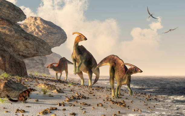 Parasaurolophus on a Beach Three parasaurolophus stand on a rock beach. Pterasaurs fly over head and a small mammal watches the dinosaurs as they meander along the water's edge. 3DRendering cretaceous photos stock pictures, royalty-free photos & images