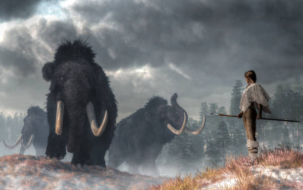 The Gods of Winter In a prehistoric wilderness, a woman faces the Gods of Winter.  Three woolly mammoths emerge from the cold Pleistocene mists. The woman, dressed in white fur, holds a spear at her side. 3D Rendering extinct photos stock pictures, royalty-free photos & images