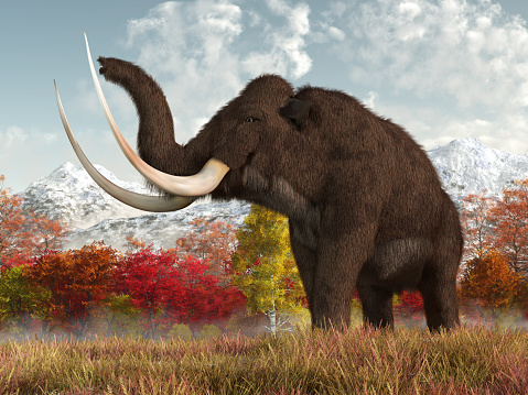 A shaggy woolly mammoth stands in the long grass of a field in an autumn scene.  This massive animal is an extinct creature of the ice age. 3D Rendering