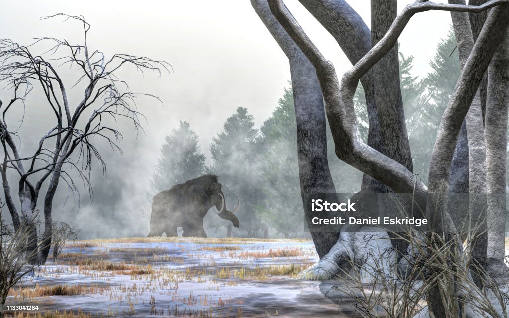 Mammoth in the Distance Across a snowy field, a woolly mammoth trudges out of the mists of times.  Against the cold winter backdrop, the great animal appears as a shambling mountain of dark fur. 3D Rendering Woolly Mammoth Stock Photo