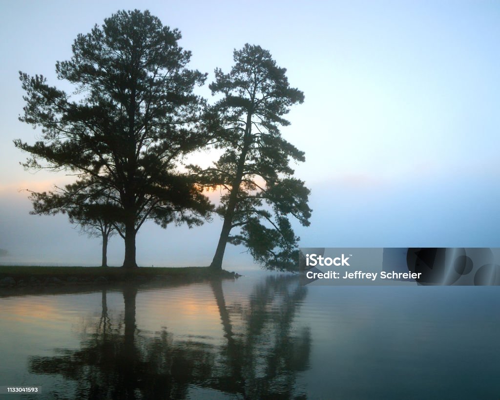 Peninsula Foggy morning on Guntersville Lake Lake Stock Photo