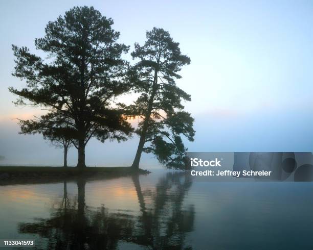 Peninsula Stock Photo - Download Image Now - Lake, Alabama - US State, Fog