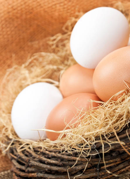 istock Brown and white eggs in wooden basket 1133043414