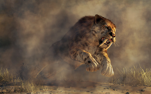 Kicking up a spray of dirt, a massive smilodon, a beast of fur and fang, leaps out of the murky mists. With its muscular frame, razor sharp claws, and long curved teeth, he's a killer. 3D Rendering
