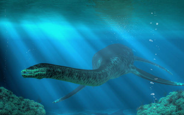 Styxosaurus You have entered the underwater realm of the styxosaurus, a plesiosaur of the Cretaceous era. This 30 to 40 foot long aquatic reptile once swam the ocean in the time of the dinosaurs. 3D Rendering cretaceous photos stock pictures, royalty-free photos & images