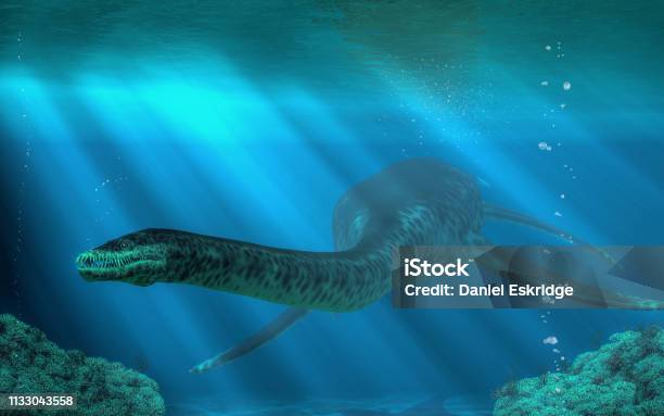 Styxosaurus Stock Photo - Download Image Now - Plesiosaur, Dinosaur, Ancient