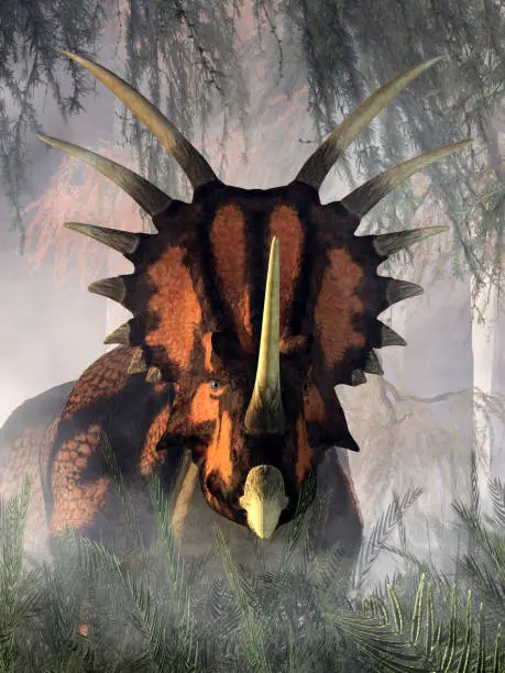 A styracosaurus moves among the dense undergrowth of a misty prehistoric forest. The name styracosaurus means spiked lizard.  This dinosaur was a ceratopsian from the Cretaceous period. 3D Rendering