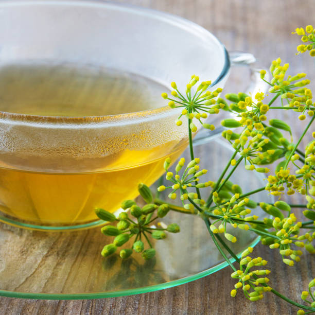 istock Fennel tea and fresh fennel plant 1133044545
