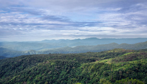 istock Sunrise in Dalat mountains 1133046395
