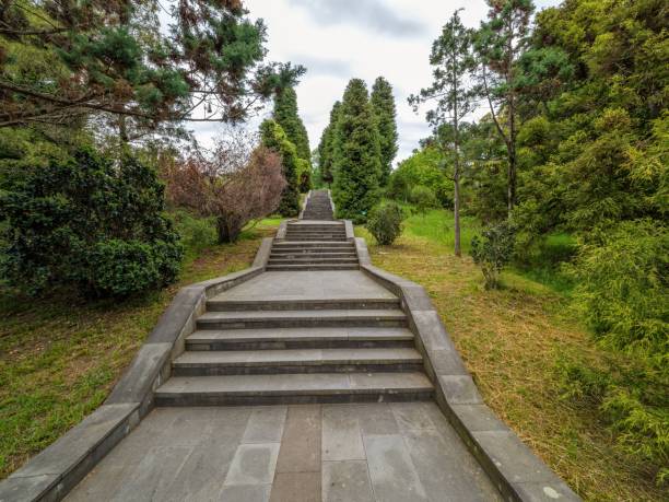 istock Path with steps in the Green Town Park 1133048016