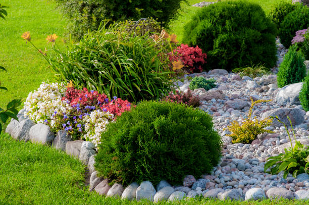 istock Beautiful flower garden 1133048761