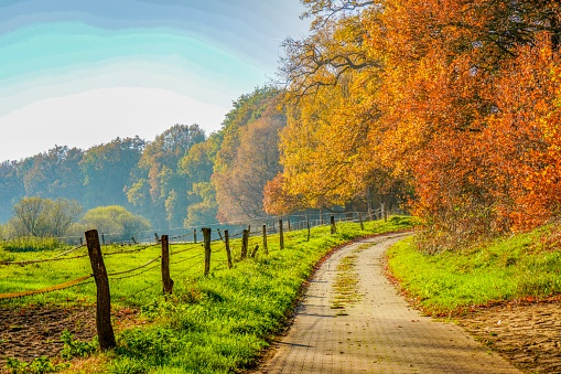 Picture shows a landscape view of a wonderful road in the nature of Germany.