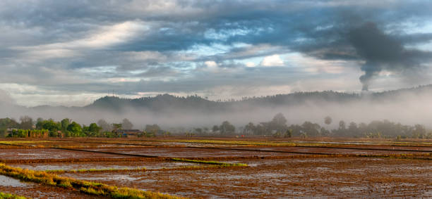 Agricultural Valleys Panoramic view of rice crops at dawn in the fields of Cibao, Dominican Republic. A dense mist is seen as the sun rises in the clouds, the mountains are in the countryside sky meio ambiente stock pictures, royalty-free photos & images
