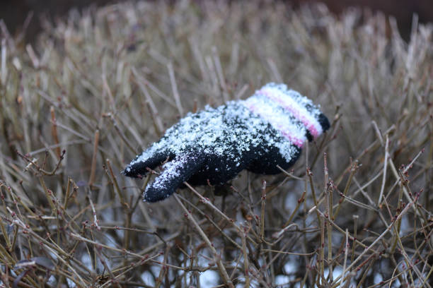 Lost glove in the snow close-up