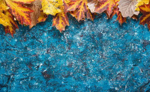 istock Creative frame with autumn leaves on blue concrete background. Top view 1133056095
