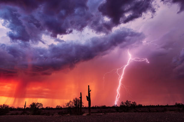 lightning bolt strikes from a storm at sunset. - monsoon imagens e fotografias de stock