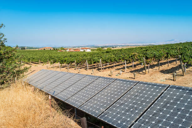 istock Solar panels at a vineyard in California USA 1133058604