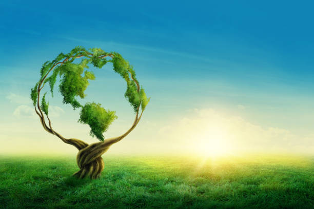 Green globe Green globe on the tree environment day stock pictures, royalty-free photos & images