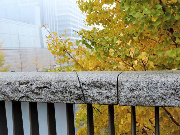 istock Foggy morning. Cityscape. 1133061259