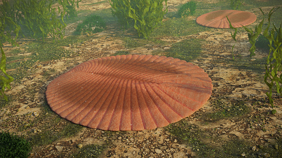 prehistoric under water life form