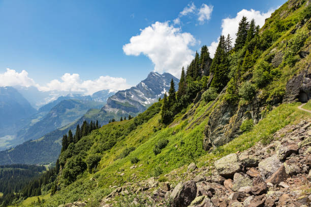 istock The Swiss Alps typical landscape, meadow, trees, stones and mountains 1133071509