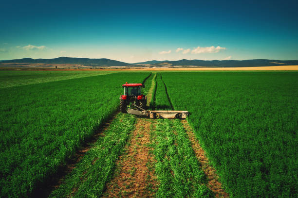 istock Tractor mowing green field, aerial drone view 1133073418
