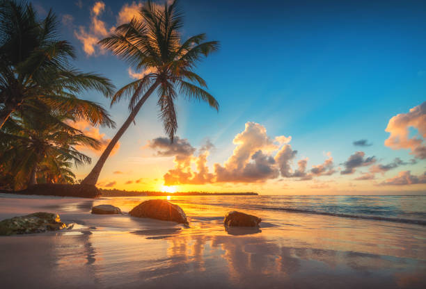 tropischer strand und wunderschöner sonnenaufgang in der bucht von punta cana, dominikanische republik - idylle stock-fotos und bilder
