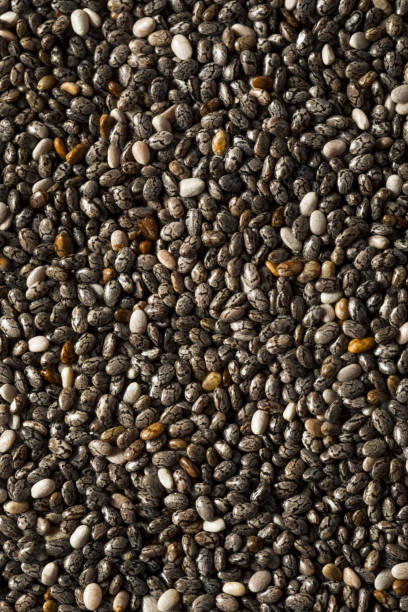 istock Raw Organic Black Chia Seeds 1133085273