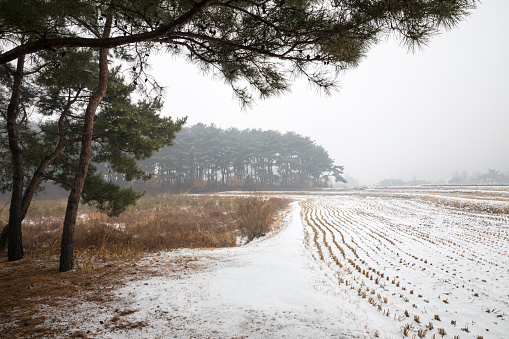 Winter in Korea, snowy countryside landscape. (Oeam Folk Village)