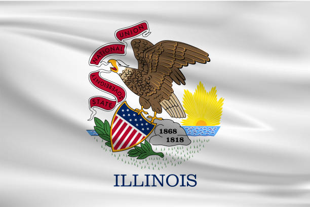 일리노이 주 흔들며 깃발 - illinois flag stock illustrations