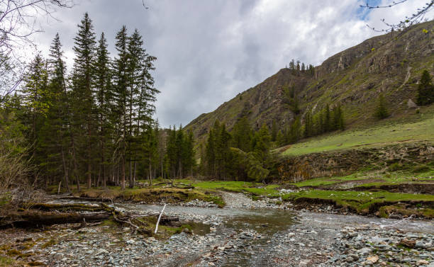 istock Small mountain river Small Yaloman in Altai 1133100440