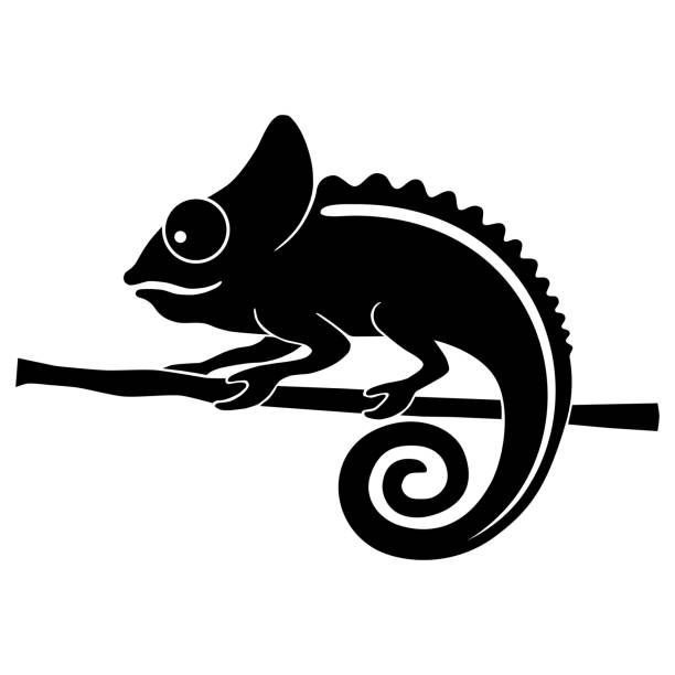 Chameleon Icon chameleon. Flat symbol chameleon. Isolated black sign chameleon on white background. Vector Illustration chameleon icon stock illustrations