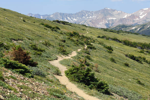 istock Trail in the Rocky Mountains National Park 1133104563