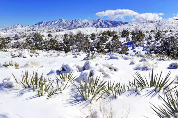 Photo of Snow covered alpine terrain in the Mount Charleston region, popular hiking and climbing spots in the Spring Mountains, near Las Vegas Nevada