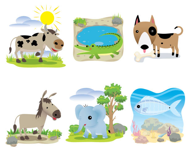 Vector animal set, cow, crocodile, dog, donkey, elephant, fish, Cartoons vector animal set, cow, crocodile, dog, donkey, elephant, fish, elephant ear plant stock illustrations