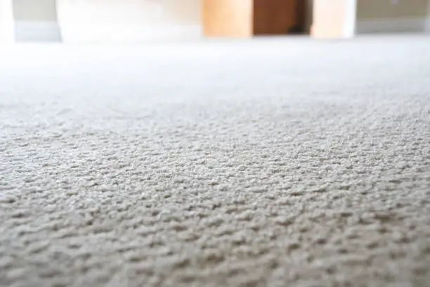 A close up of carpet that is gray colored, in a house. The carpet is very clean.